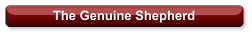 The Genuine Shepherd