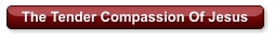 The Tender Compassion Of Jesus